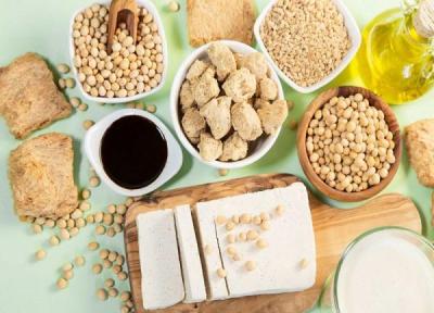 40 نکته راهنمای خرید سویا ، فرق سویا خوراکی و دانه سویا چیه؟